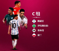 世界杯C组巡礼:阿根廷优势足 墨西哥晋级